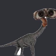 binoxsaur